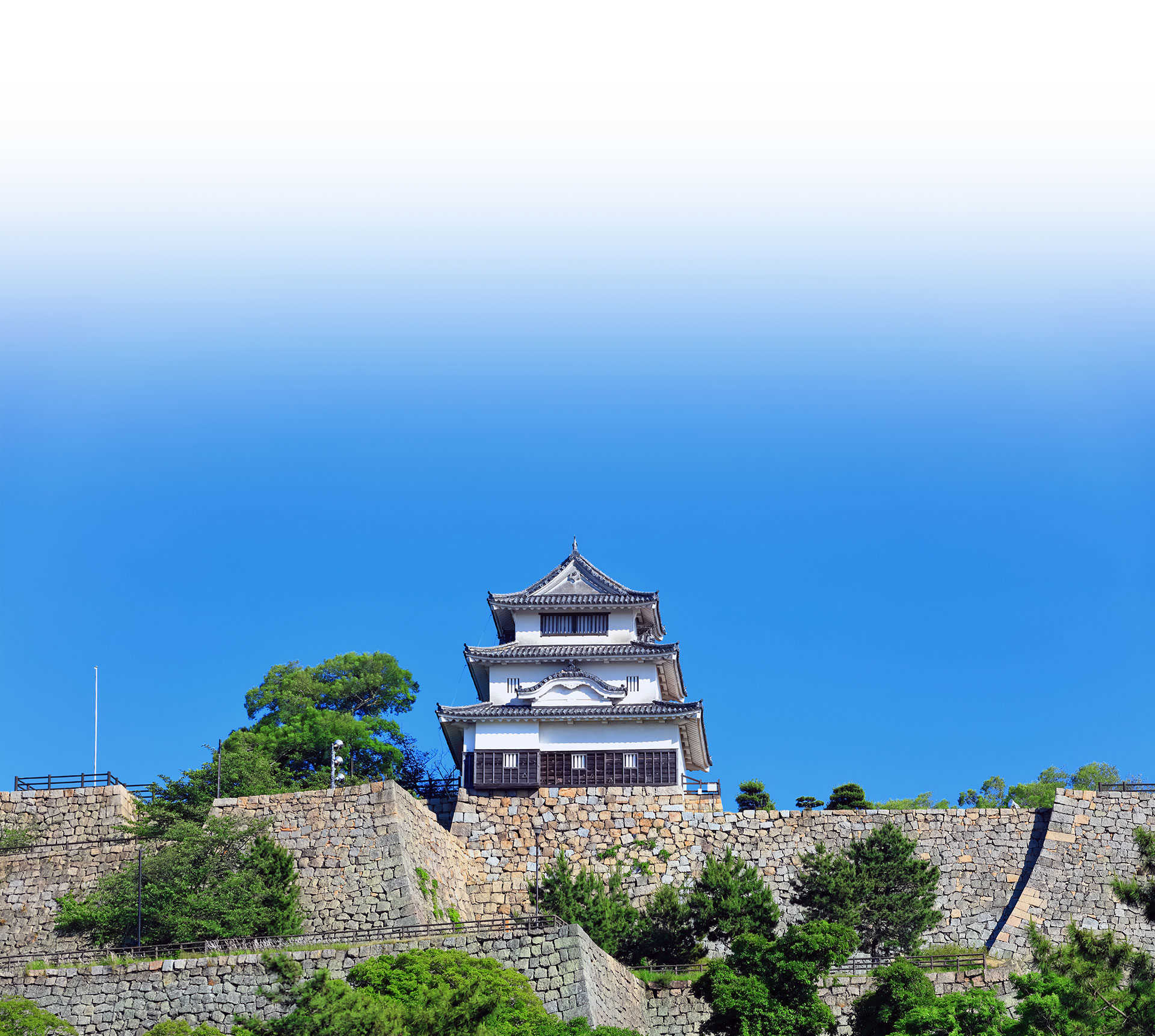 安心と未来への取り組み