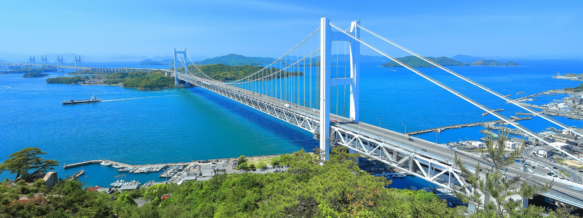 安心と未来への取り組み